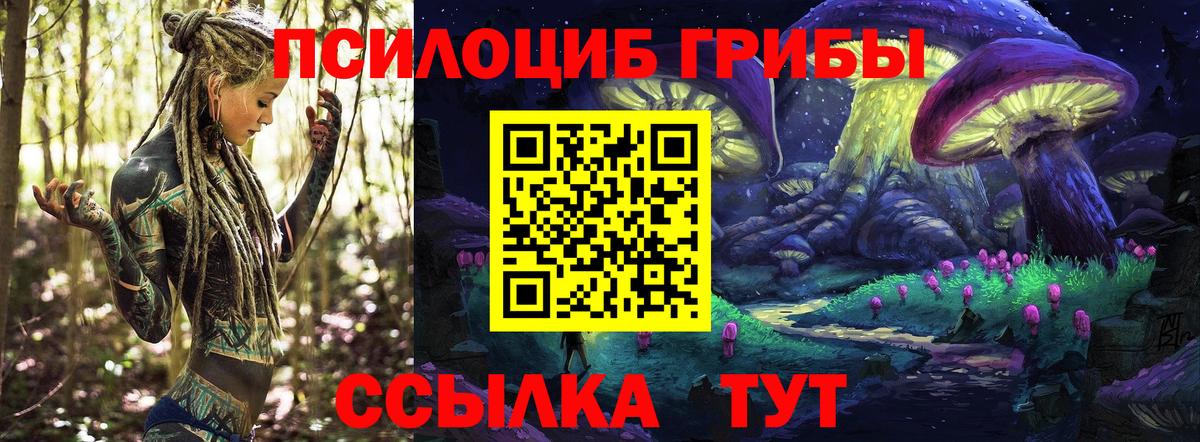 Псилоцибиновые грибы Cubensis  Вход с VPN  Южноуральск 